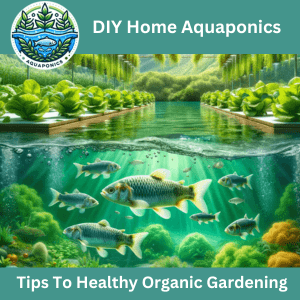 Growing Healthy Foods Using Aquaponics and Hydroponic gardening systems