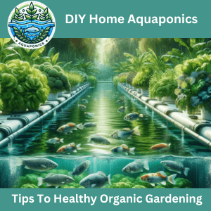 Learn About Aquaponics - Tips For Healthy Organic Gardening