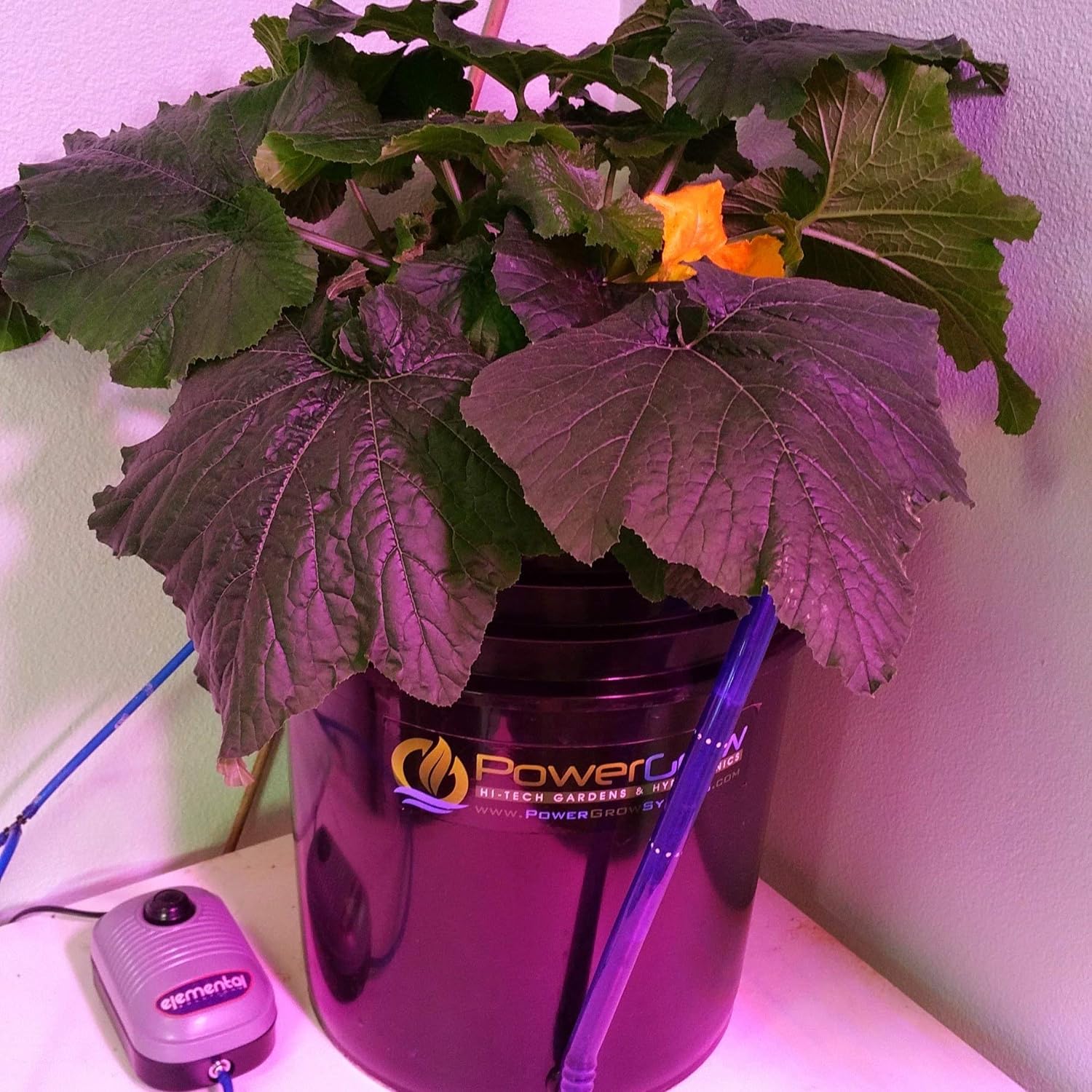 Deep Water Culture Hydroponic Bucket Kit Review